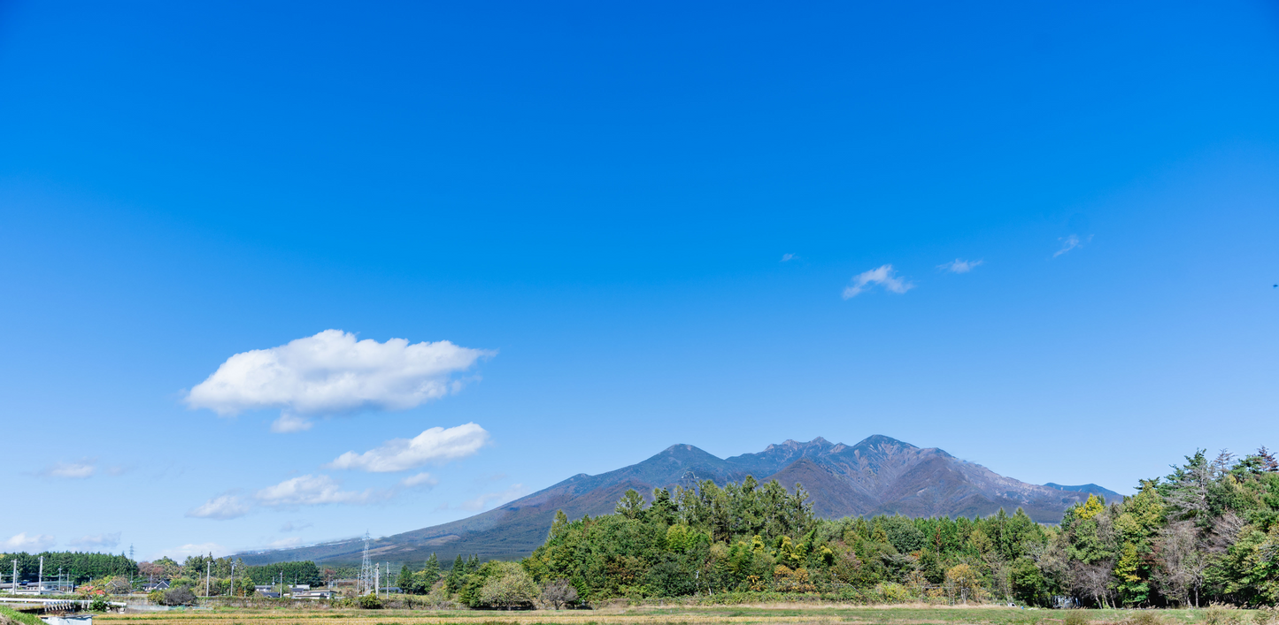 12個セット【ミルク・いちご・黄金桃・すもも・グレープフルーツ・巨峰】各2個